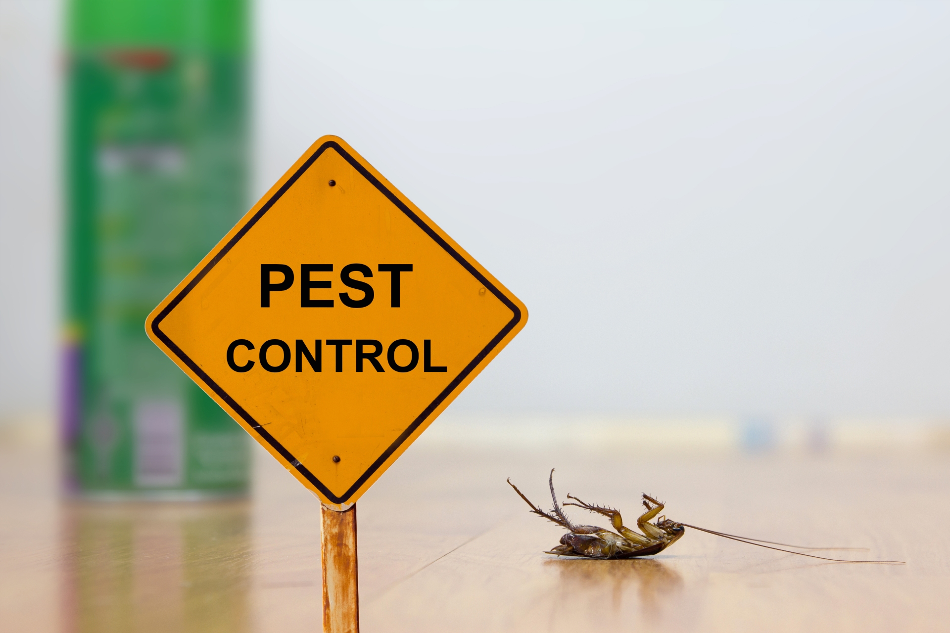 24 Hour Pest Control, Pest Control in Kings Langley, Chipperfield, WD4. Call Now 020 8166 9746