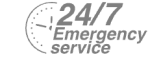 24/7 Emergency Service Pest Control in Kings Langley, Chipperfield, WD4. Call Now! 020 8166 9746